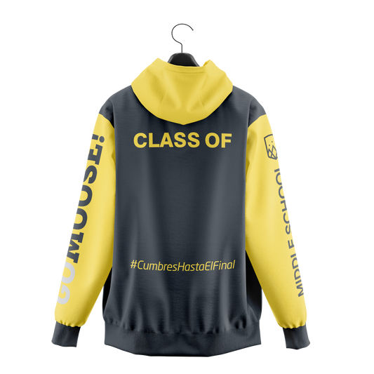 3 Middle School Hoodie
